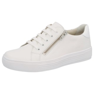 Solidus 28014 10066 - 238100087 8,5