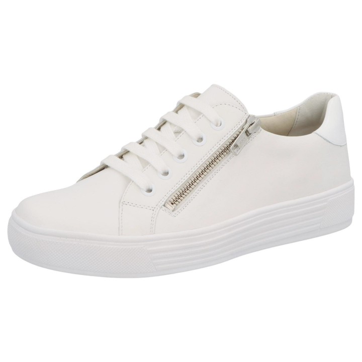 Solidus 28014 10066 - 238100087 8,5