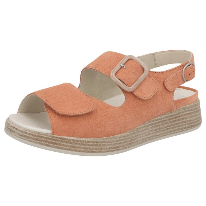 Solidus 75032 50290 - 298500096 3