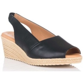 Kaola  Pumps 633 GOBY