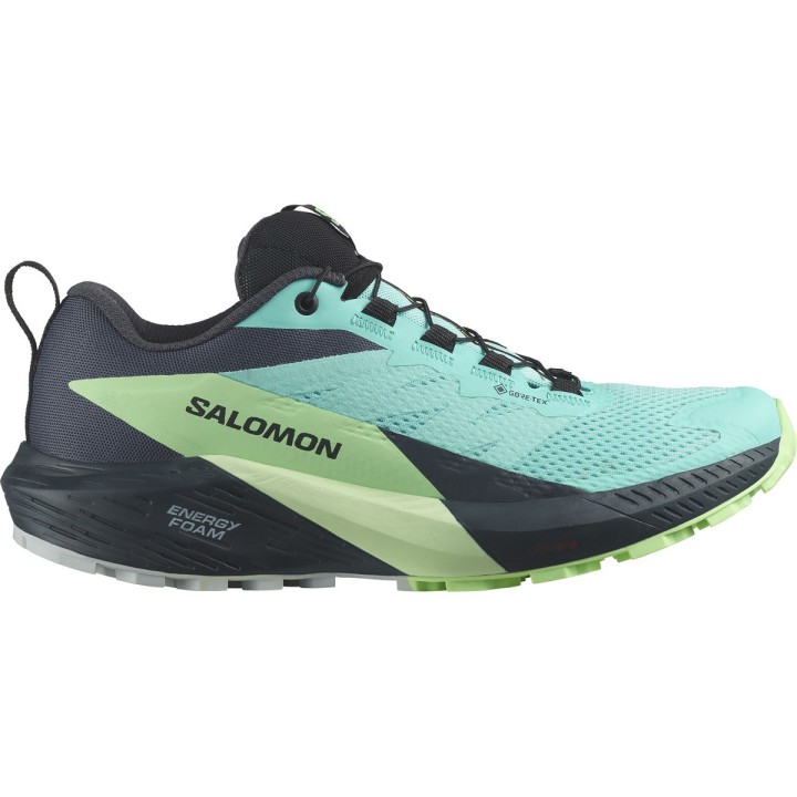 Salomon Damen Sense Ride 5 GTX Schuhe