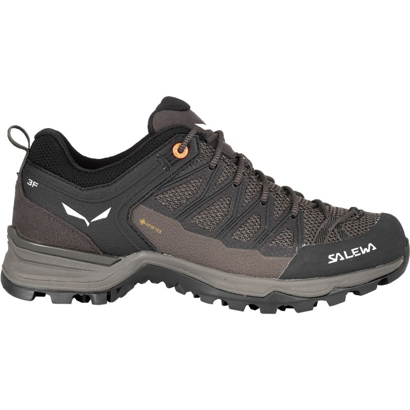 Salewa Damen MTN Trainer Lite GTX Schuhe