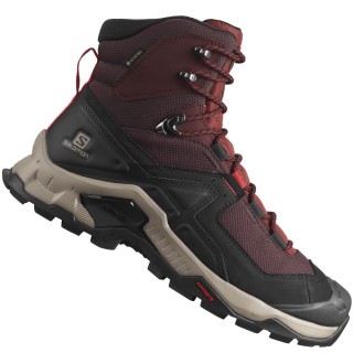 Salomon Quest Element GTX Chocolate Plum/Madder Brown/Goji Berry