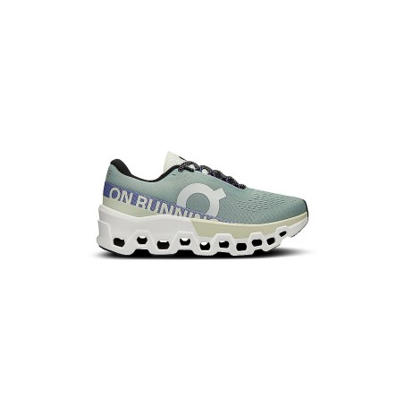 ON Damen Laufschuhe Cloudmonster 2 grau | 37 1/2