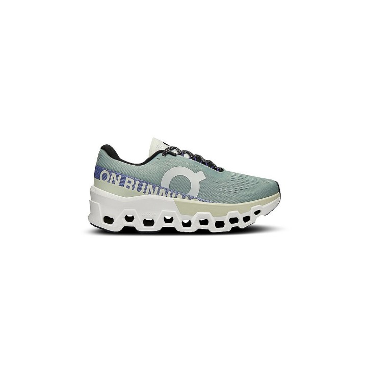 ON Damen Laufschuhe Cloudmonster 2 grau | 37 1/2