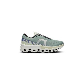 ON Herren Laufschuhe Cloudmonster 2 grau | 47