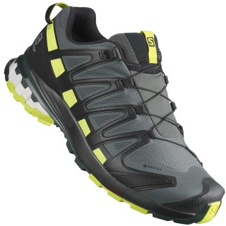 Salomon XA PRO 3D v8 GTX Urban Chic Black