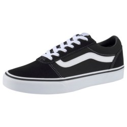 Vans Sneaker "Ward"