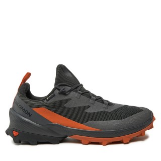 Trekkingschuhe Salomon Cross Over 2 Gore-Tex L47265000 Grau