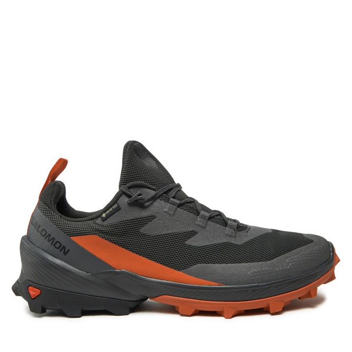 Trekkingschuhe Salomon Cross Over 2 Gore-Tex L47265000 Grau