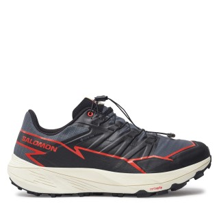 Laufschuhe Salomon Thundercross Gore-Tex L47684500 Grau