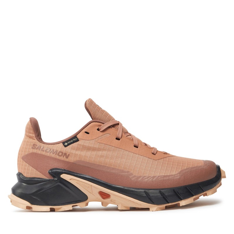 Laufschuhe Salomon Alphacross 5 Gore-Tex L47595100 Korallenfarben