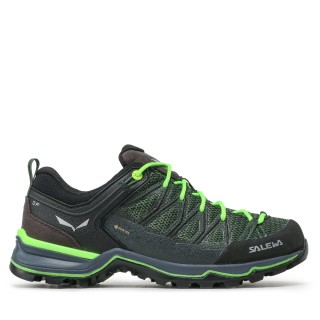 Trekkingschuhe Salewa Ms Mtn Trainer Lite Gtx GORE-TEX 61361-5945 Grün