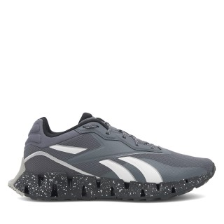 Laufschuhe Reebok Zig Dynamica 4 Adventure 100074699 Grau