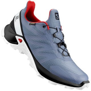 Salomon Supercross GTX Laufschuhe Flint/Black