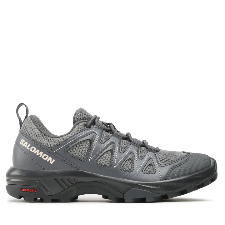 Trekkingschuhe Salomon X Braze W 471802 20 V0 Grau