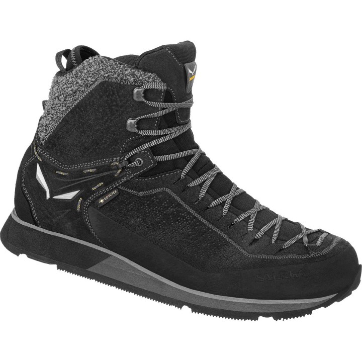 Salewa Herren MTN Trainer 2 Winter GTX Schuhe