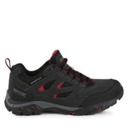 Trekkingschuhe Regatta Holcombe IEP Low RMF572 Grau