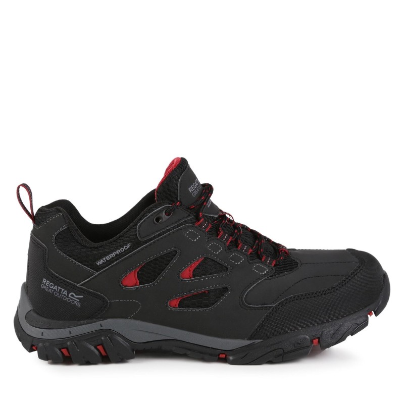 Trekkingschuhe Regatta Holcombe IEP Low RMF572 Grau