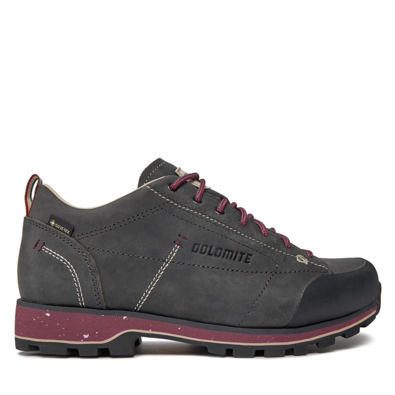 Trekkingschuhe Dolomite W'S 54 Low Fg Evo Gtx GORE-TEX 292534 Grau