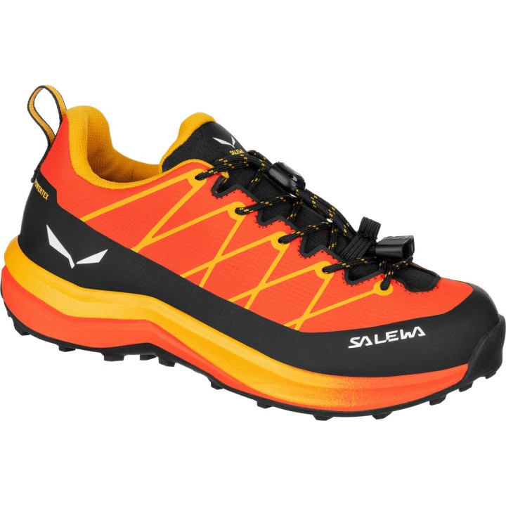 Salewa Kinder Wildfire 2 PTX Schuhe
