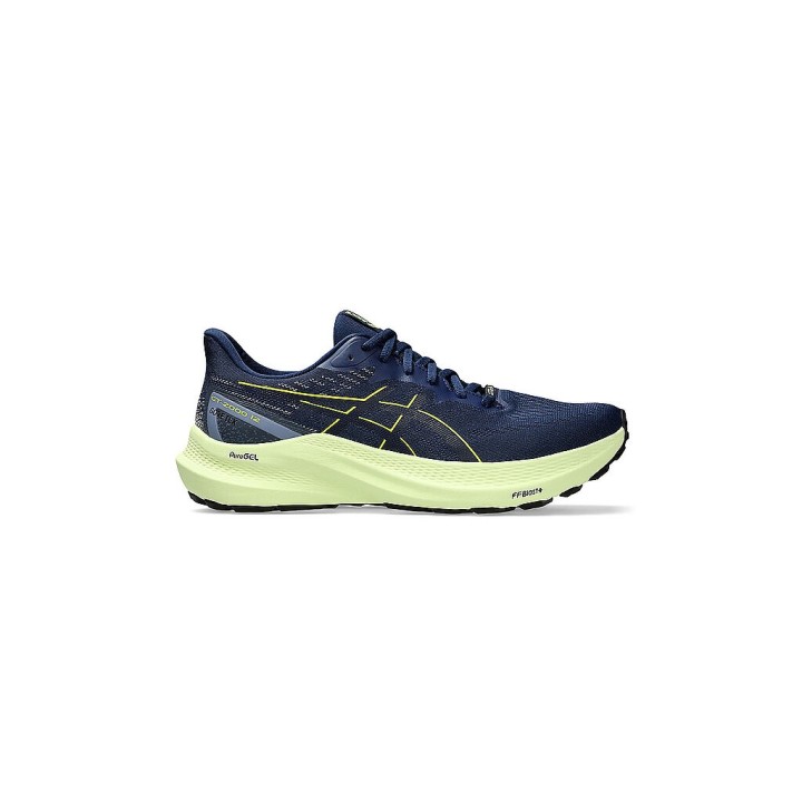 ASICS Herren Laufschuhe GT-2000 12 GTX blau | 40 1/2
