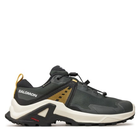 Trekkingschuhe Salomon X Raise Gore-Tex L47458200 Grün