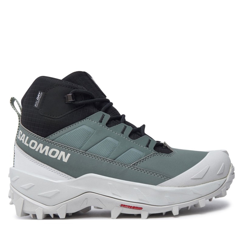 Trekkingschuhe Salomon Crosstrak Waterproof L47570400 Grün