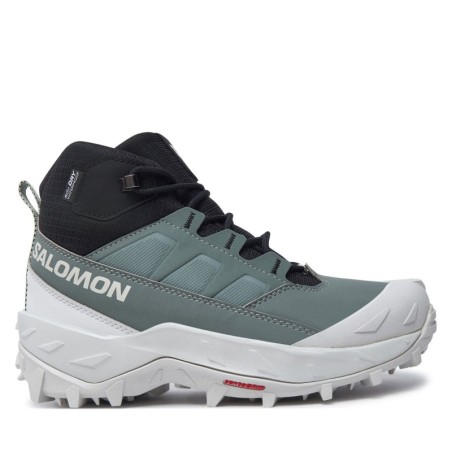 Trekkingschuhe Salomon Crosstrak Waterproof L47570400 Grün