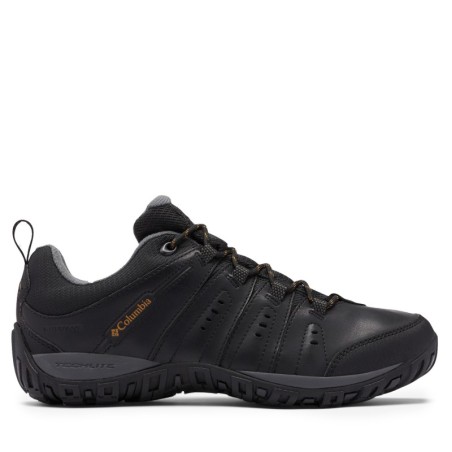 Trekkingschuhe Columbia Woodburn II Waterproof 1553001 Schwarz