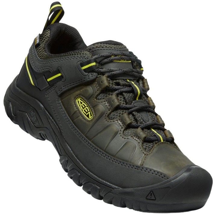 Keen Targhee III WP Forest Night/Evening Primrose