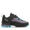 Trekkingschuhe Aku Rock Dfs Gtx W's 723 GORE-TEX Grau