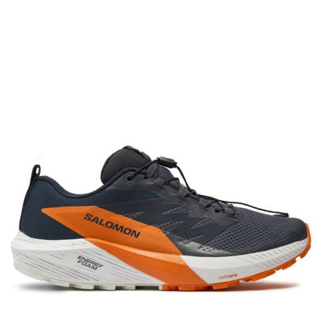 Laufschuhe Salomon Sense Ride 5 Gore-Tex L47459400 Grau