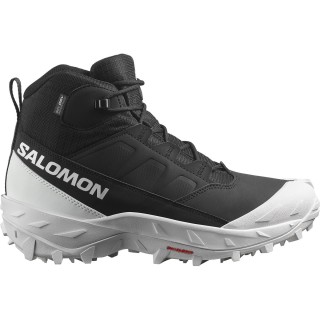 Salomon Herren Crosstrak WP Schuhe