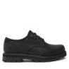 Halbschuhe Timberland Lace UP Waterproof TB0A69T9W021 Schwarz