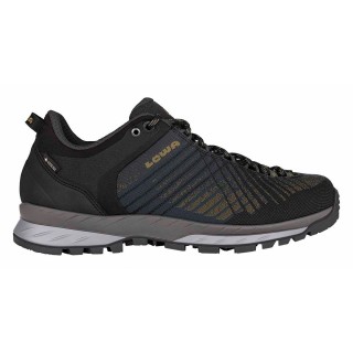 Lowa Herren Carezza GTX Lo Schuhe