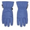 Skihandschuhe 4F 4FJWAW24AFGLU130 Blau