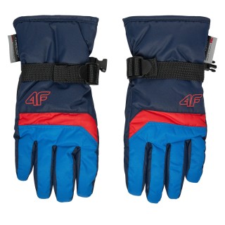 Skihandschuhe 4F 4FJWAW24AFGLM129 Blau