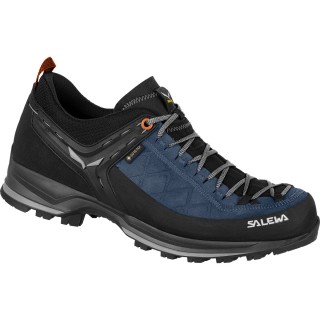 Salewa Herren MTN Trainer 2 GTX Schuhe
