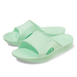 Telic Recharge