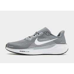 Nike Pegasus 41 - Grey - Mens, Grey