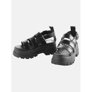 Buffalo Aspha Fsh Ot Vegan Box