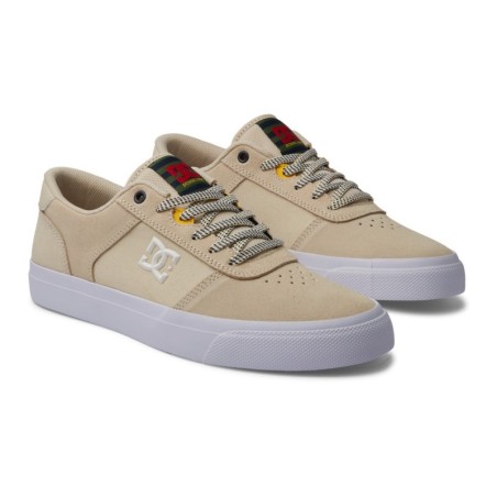 DC Shoes Sneaker "Teknic"