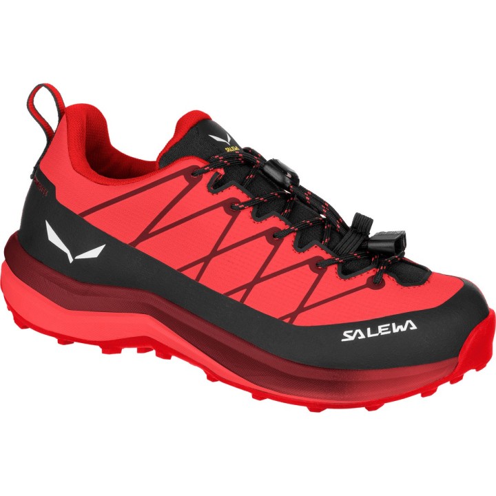 Salewa Kinder Wildfire 2 PTX Schuhe