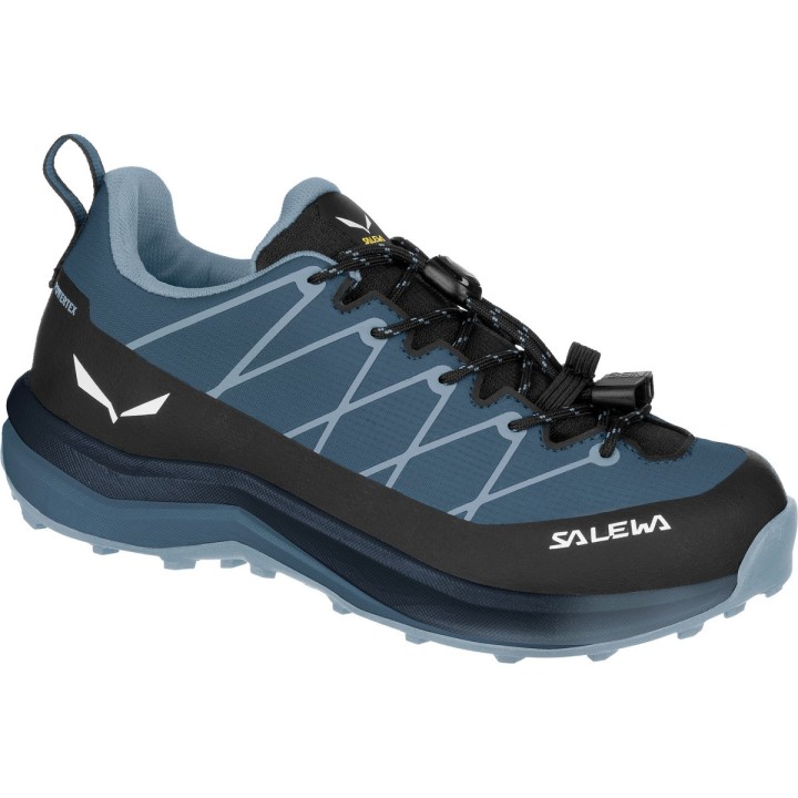 Salewa Kinder Wildfire 2 PTX Schuhe