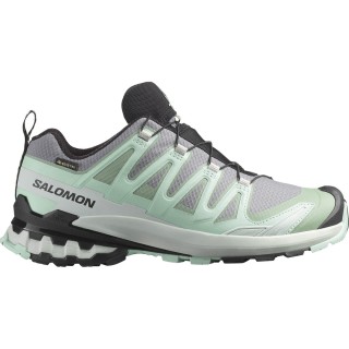 Salomon Damen Xa Pro 3D V9 GTX Schuhe