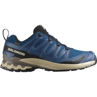 Salomon Herren Xa Pro 3D V9 GTX Schuhe