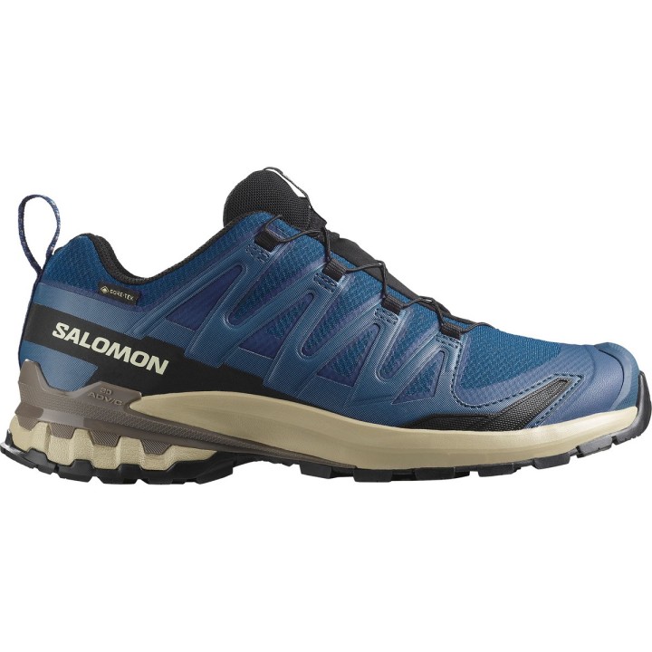 Salomon Herren Xa Pro 3D V9 GTX Schuhe