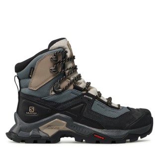Trekkingschuhe Salomon Quest Element Gtx W GORE-TEX 414574 20 V0 Bunt