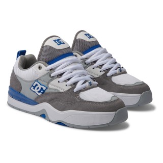 DC Shoes Sneaker "DC Ascend"